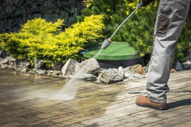 Best Roof Washing  in Wolfe City, TX